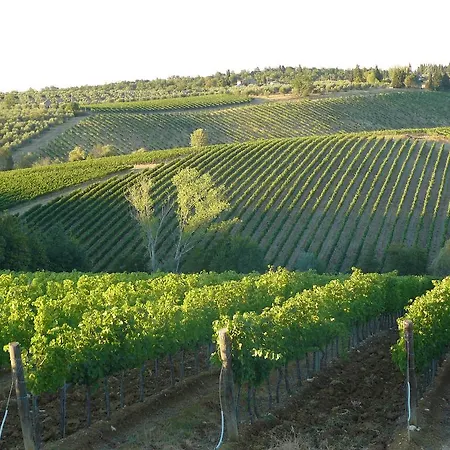 Bellavista 산카시아노인발디파사