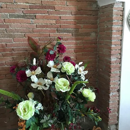 아파트 Bellavista 산카시아노인발디파사